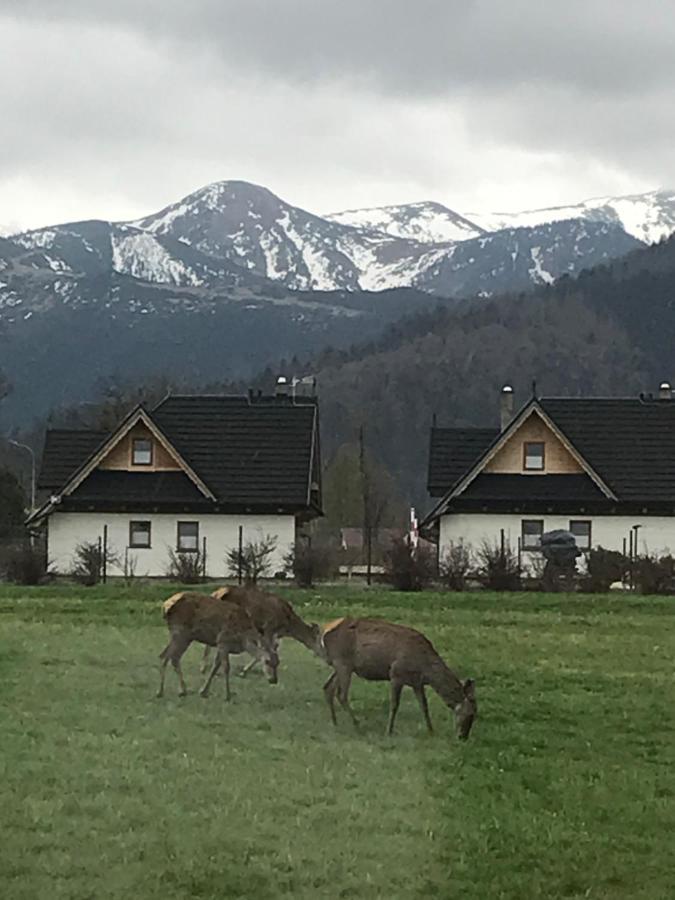Camping Zakopane Willa Skoczek Exterior photo